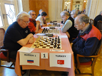 Avrupa Emektarlar Takım Şampiyonası
