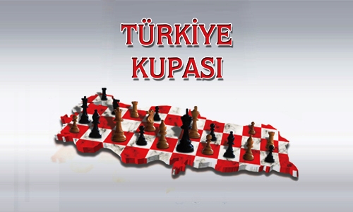 2015 Türkiye Kupası