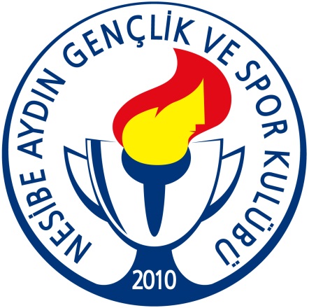 Ankara Nesibe Aydın Yıldırım Turnuvaları