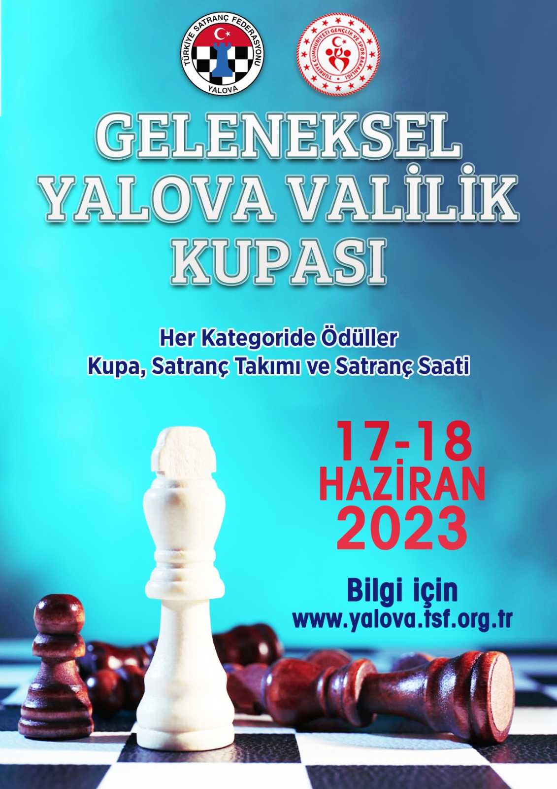 Geleneksel Yalova Valilik Kupası