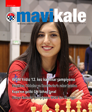 Mavi Kale · Sayı 29 kapak görseli