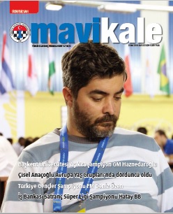 Mavi Kale · Sayı 35 kapak görseli