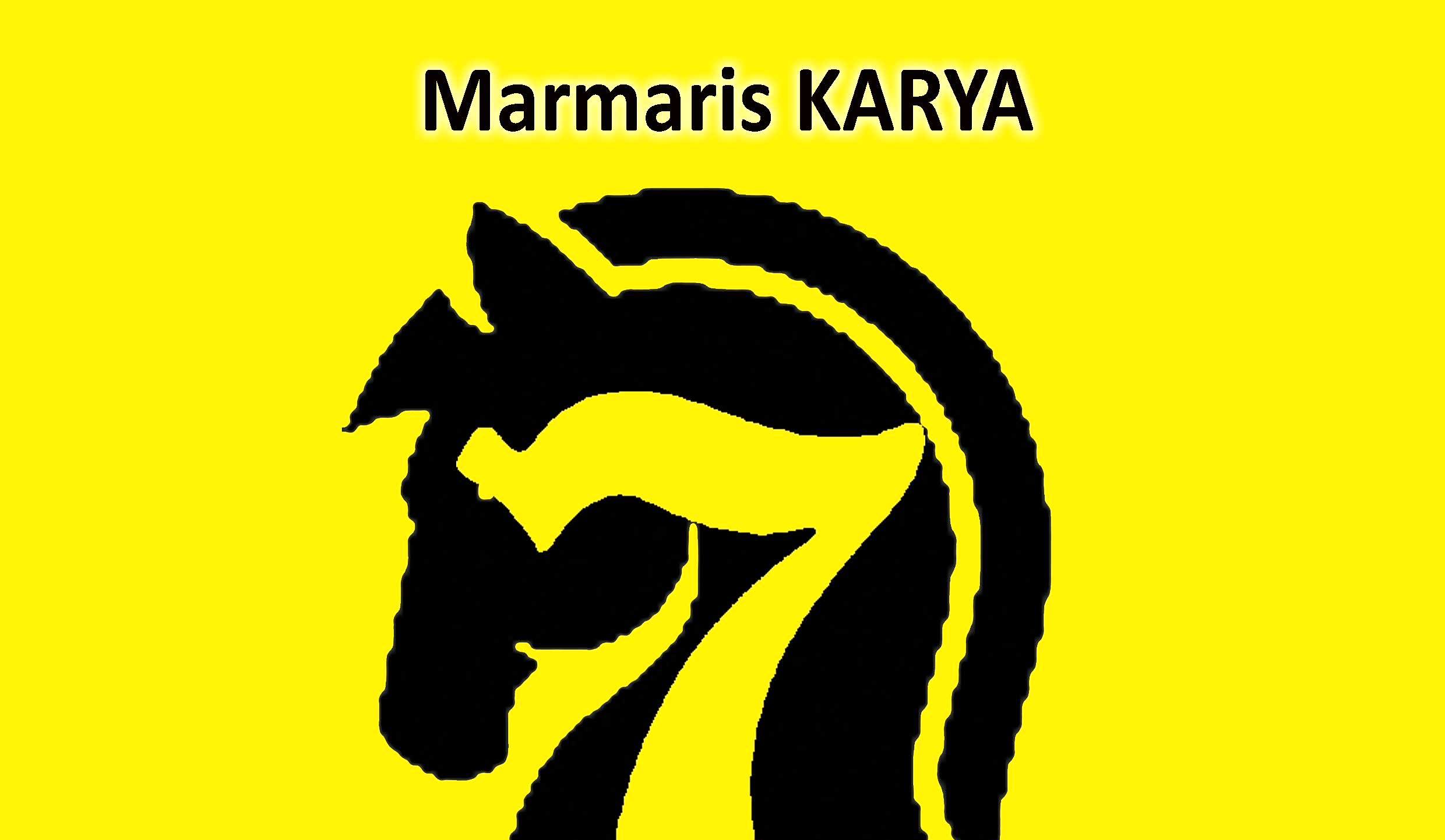 Marmaris Karya-VII Kapalı IM Norm Turnuvası